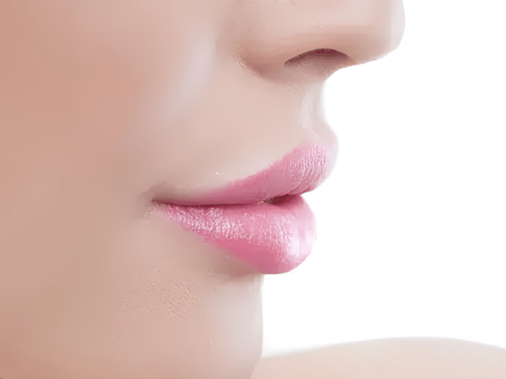iStock 000083071639 Full
